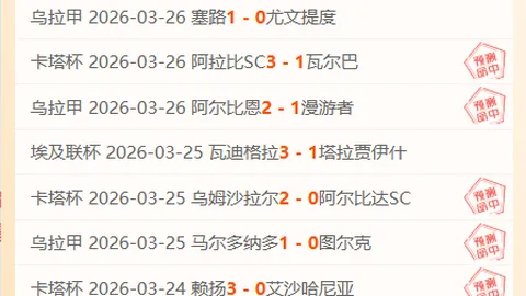 申花后卫姆比亚自由转会至西甲保级队伍