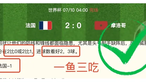 巴西甲深度解析，体育赛事投注，独家比分解析，胜负关键点