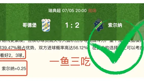 2026赛季瑞典超独家解读：小西制胜秘诀全